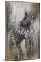 Zebra Study-Rikki Drotar-Mounted Giclee Print