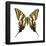 Zebra Swallowtail (Eurytides Marcellus), Insects-Encyclopaedia Britannica-Framed Poster