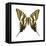 Zebra Swallowtail (Eurytides Marcellus), Insects-Encyclopaedia Britannica-Framed Stretched Canvas