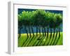 Zebra Trees, 2005-Gigi Sudbury-Framed Giclee Print