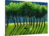 Zebra Trees, 2005-Gigi Sudbury-Stretched Canvas
