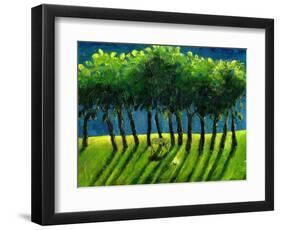 Zebra Trees, 2005-Gigi Sudbury-Framed Giclee Print