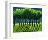 Zebra Trees, 2005-Gigi Sudbury-Framed Giclee Print