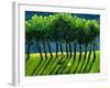 Zebra Trees, 2005-Gigi Sudbury-Framed Giclee Print