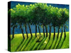 Zebra Trees, 2005-Gigi Sudbury-Stretched Canvas