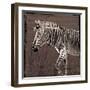 Zebra Walk Brown-OnRei-Framed Art Print