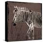 Zebra Walk Brown-OnRei-Stretched Canvas