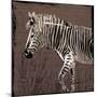 Zebra Walk Brown-OnRei-Mounted Art Print