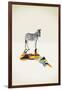 Zebra - Walking Shadows-Jason Ratliff-Framed Giclee Print