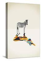 Zebra - Walking Shadows-Jason Ratliff-Stretched Canvas