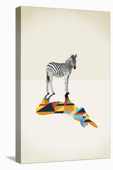 Zebra - Walking Shadows-Jason Ratliff-Stretched Canvas