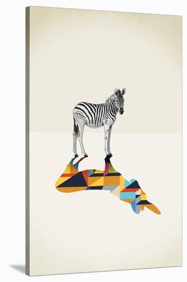 Zebra - Walking Shadows-Jason Ratliff-Stretched Canvas