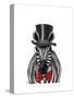 Zebra with Top Hat and Bow Tie 2, Forwards-Fab Funky-Stretched Canvas