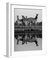 Zebra With Water Reflection-Donvanstaden-Framed Art Print