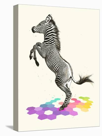 Zebra-Laura Graves-Stretched Canvas