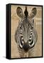 Zebra-Xelissa-Framed Stretched Canvas