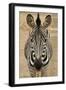 Zebra-Xelissa-Framed Photographic Print