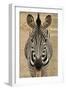 Zebra-Xelissa-Framed Photographic Print