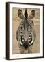 Zebra-Xelissa-Framed Photographic Print