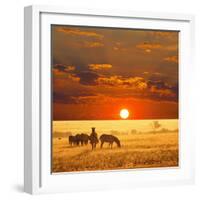 Zebra-Andrushko Galyna-Framed Photographic Print