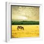 Zebra-Andrushko Galyna-Framed Photographic Print