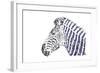 Zebra-Cristian Mielu-Framed Art Print