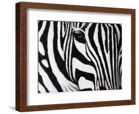 Zebra-null-Framed Giclee Print