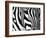 Zebra-null-Framed Giclee Print