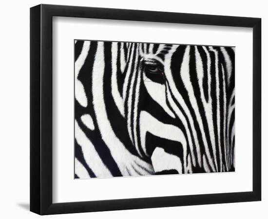 Zebra-null-Framed Giclee Print