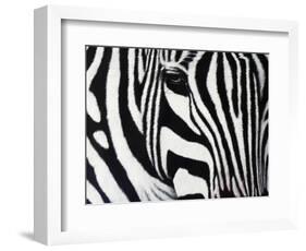 Zebra-null-Framed Giclee Print