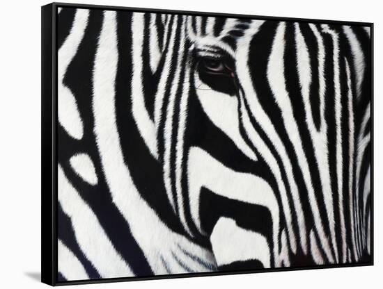 Zebra-null-Framed Stretched Canvas