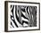 Zebra-null-Framed Giclee Print