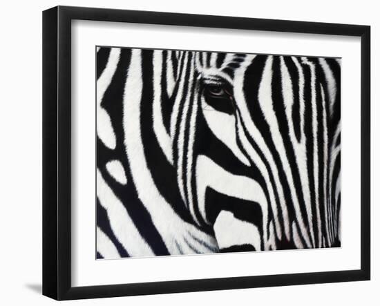 Zebra-null-Framed Giclee Print