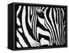 Zebra-null-Framed Stretched Canvas