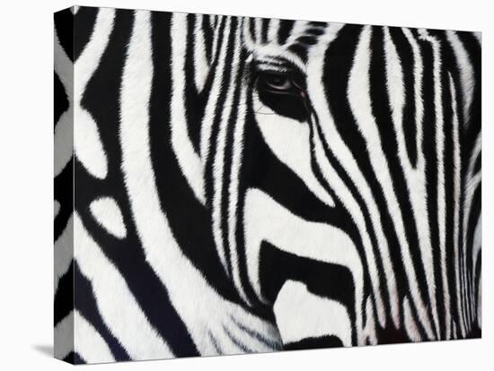 Zebra-null-Stretched Canvas