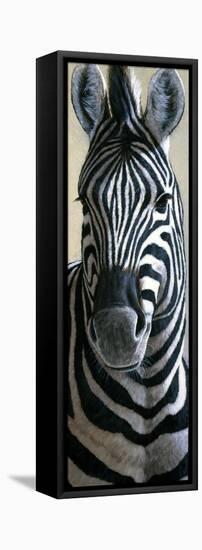 Zebra-Jeremy Paul-Framed Stretched Canvas