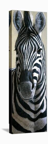 Zebra-Jeremy Paul-Stretched Canvas