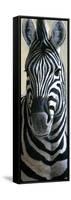 Zebra-Jeremy Paul-Framed Stretched Canvas