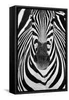 ZEBRA-Juan Luis Duran-Framed Stretched Canvas