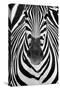 ZEBRA-Juan Luis Duran-Stretched Canvas