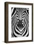 ZEBRA-Juan Luis Duran-Framed Photographic Print