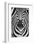 ZEBRA-Juan Luis Duran-Framed Photographic Print