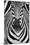 ZEBRA-Juan Luis Duran-Mounted Photographic Print