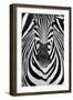 ZEBRA-Juan Luis Duran-Framed Photographic Print