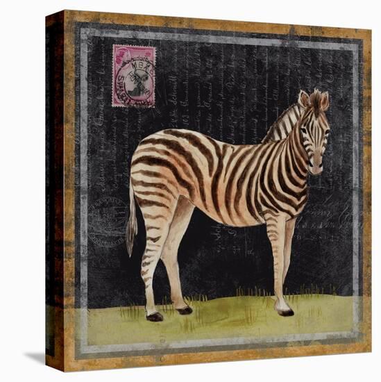 Zebra-Lisa Ven Vertloh-Stretched Canvas