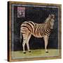 Zebra-Lisa Ven Vertloh-Stretched Canvas