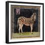 Zebra-Lisa Ven Vertloh-Framed Art Print