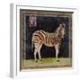 Zebra-Lisa Ven Vertloh-Framed Art Print