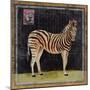 Zebra-Lisa Ven Vertloh-Mounted Art Print