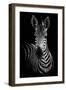 Zebra-Incado-Framed Premium Photographic Print